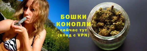 соль ск Пестово