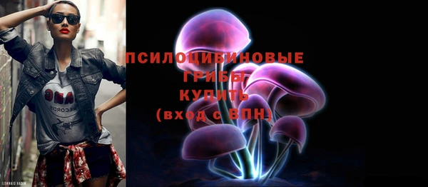 соль ск Пестово