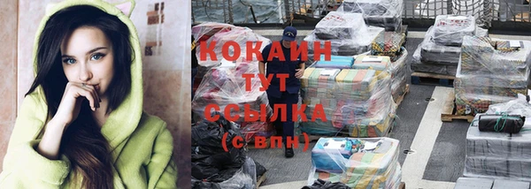 соль ск Пестово