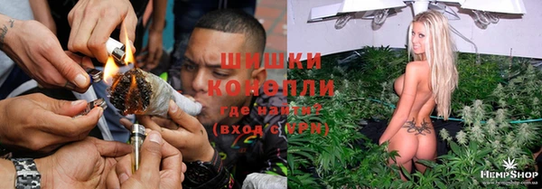 соль ск Пестово
