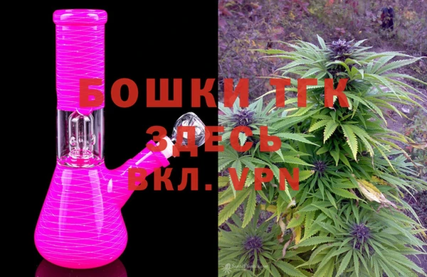 соль ск Пестово